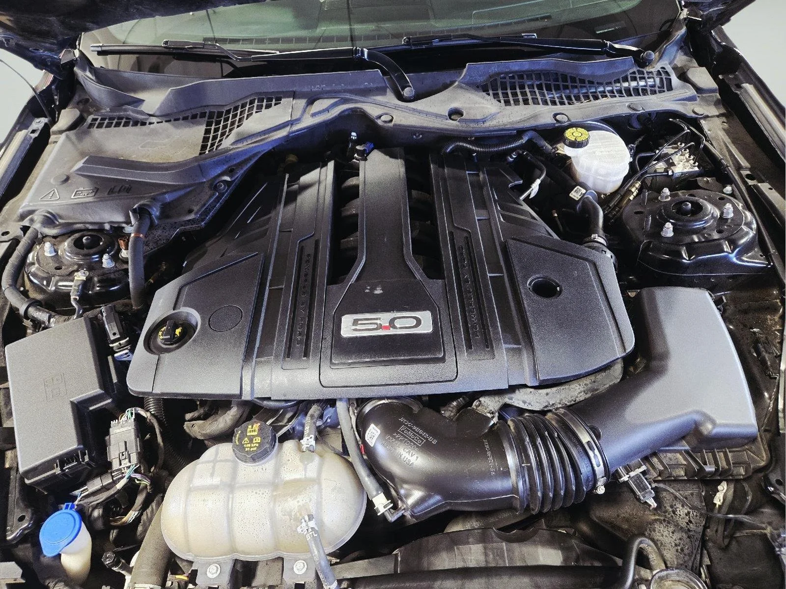 Used 2021 Shadow Black Ford GT image 48
