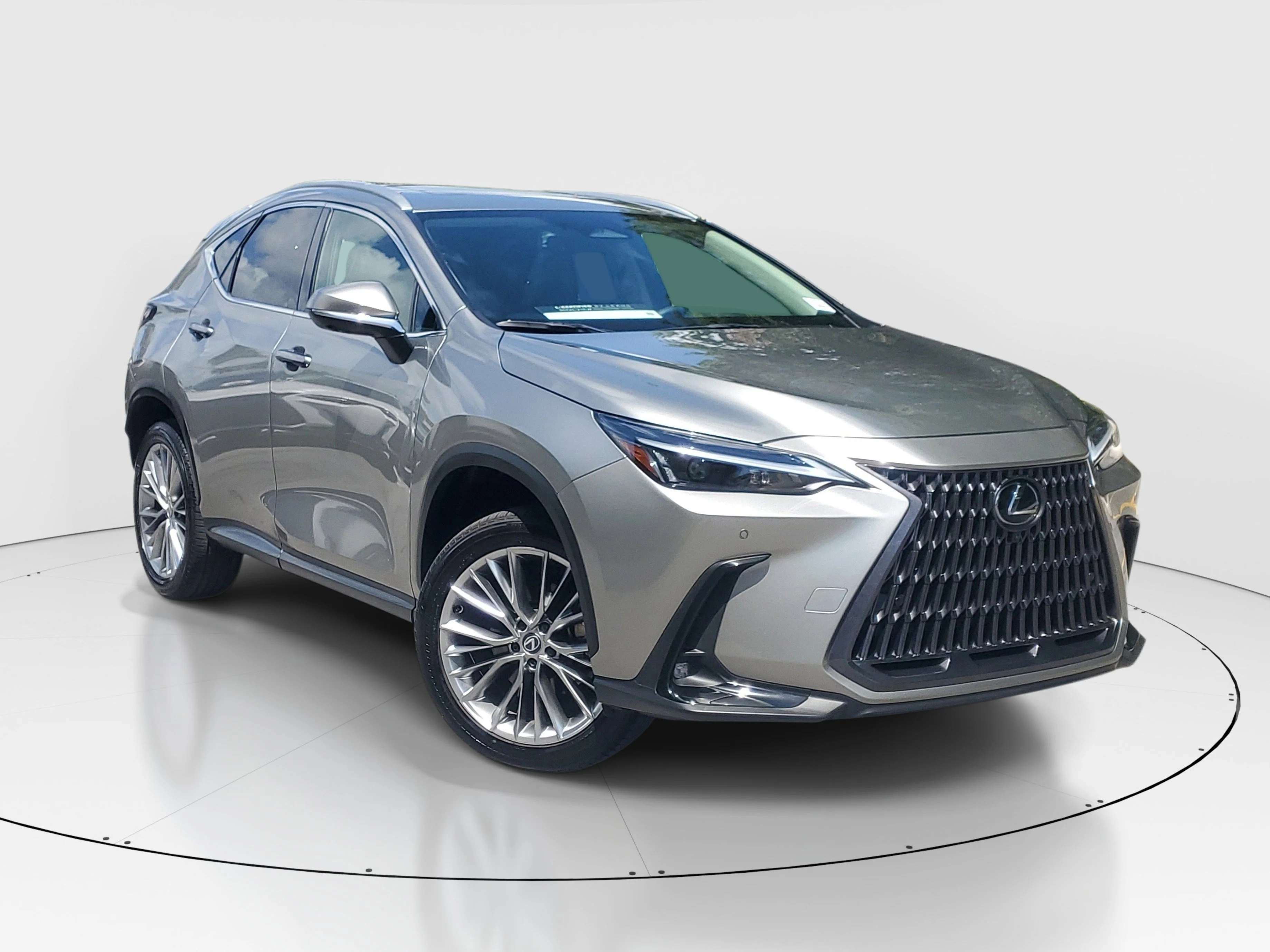 2025 Lexus NX