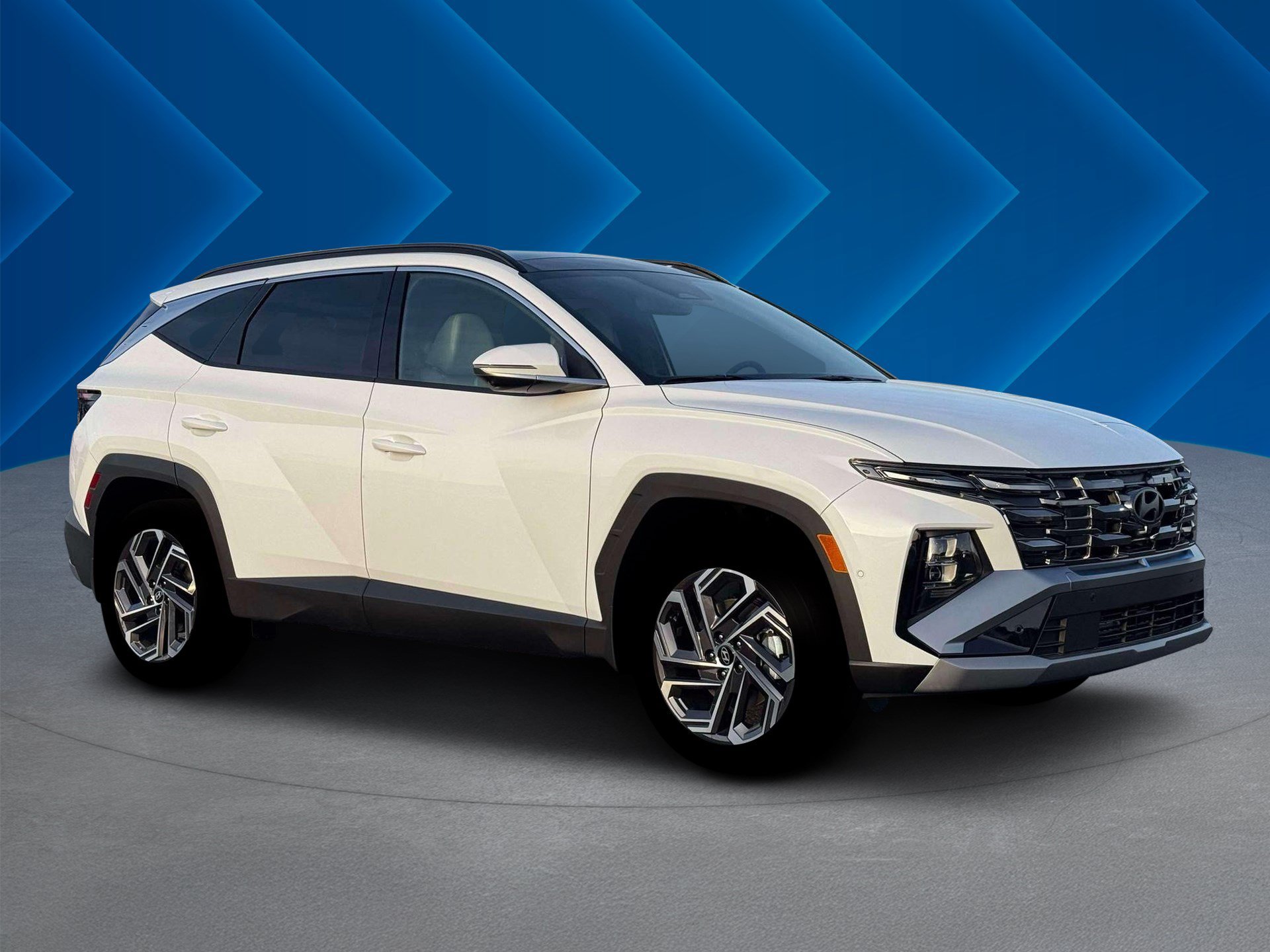 New 2026 Creamy White Pearl Hyundai Limited image 11