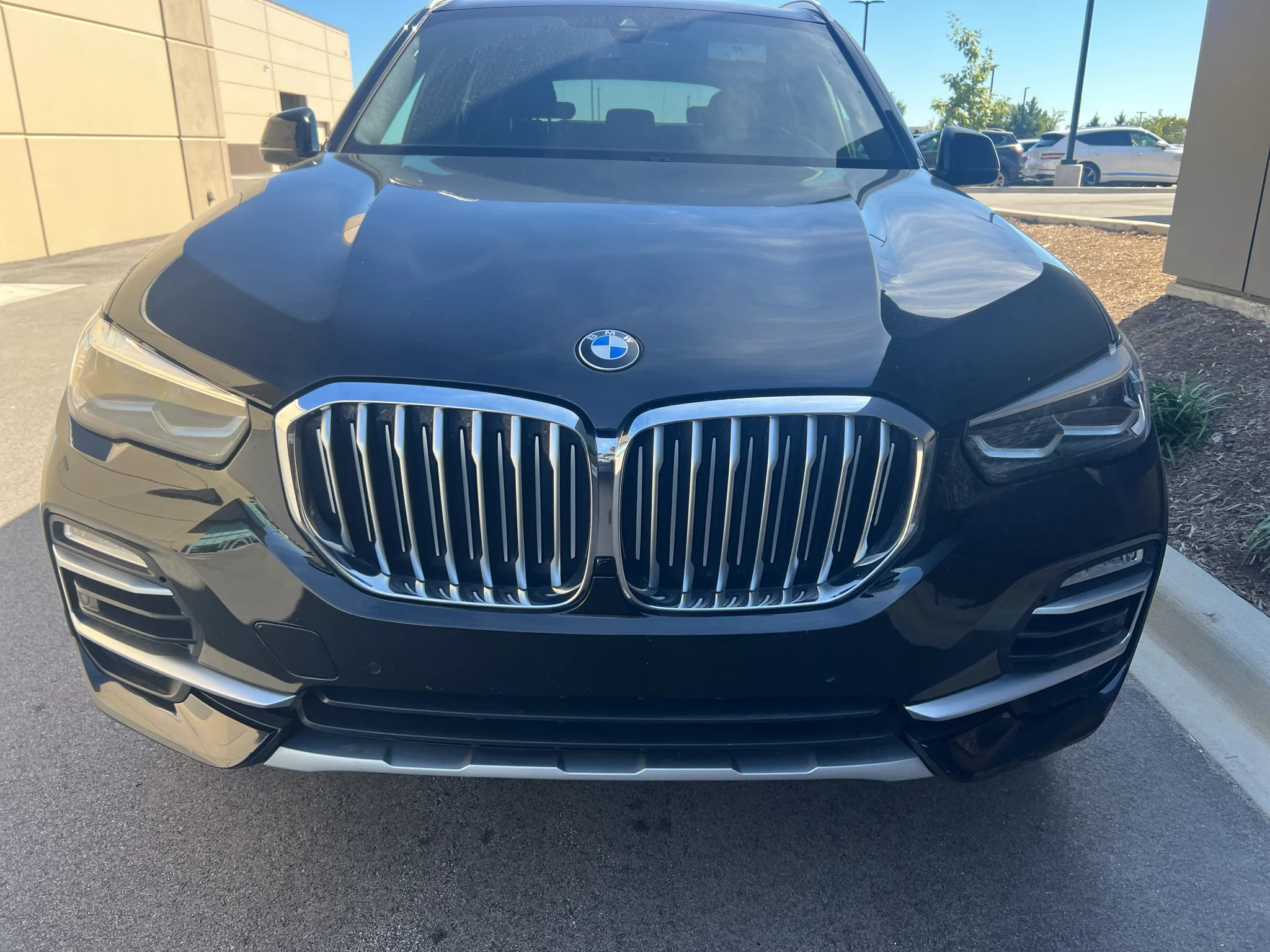 Used 2019 Jet Black BMW xDrive40i image 2