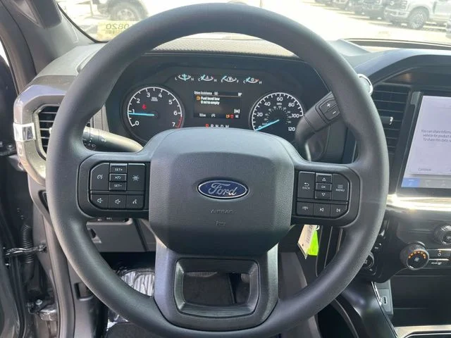 New 2026 Gray Ford STX image 15