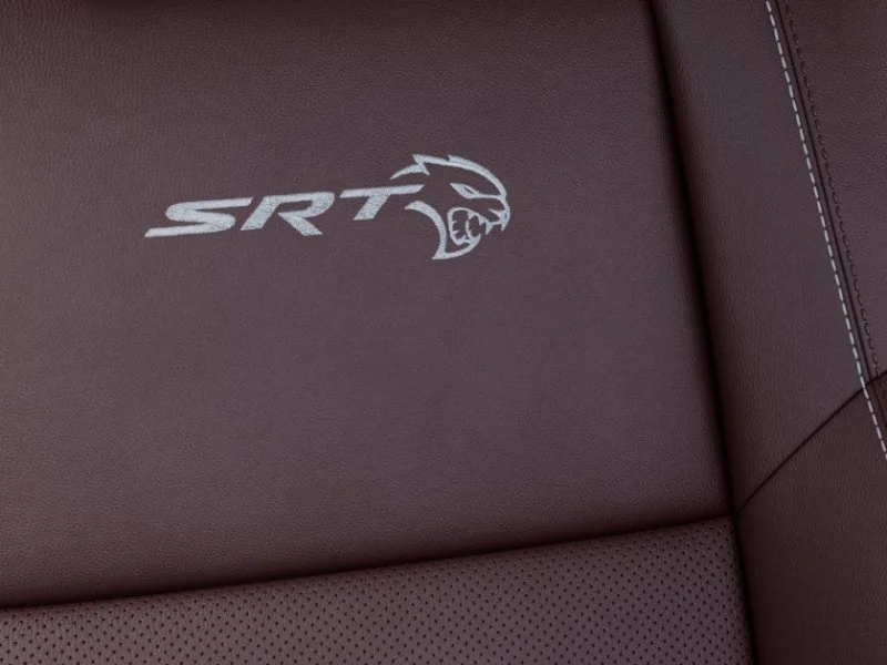 New 2026 Destroyer Gray Clear-Coat Exterior Paint Dodge SRT Hellcat image 20