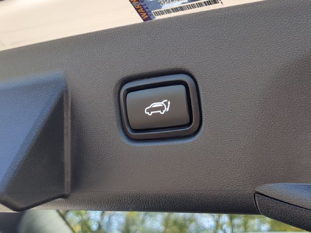 Used 2024 White Hyundai Blue image 27