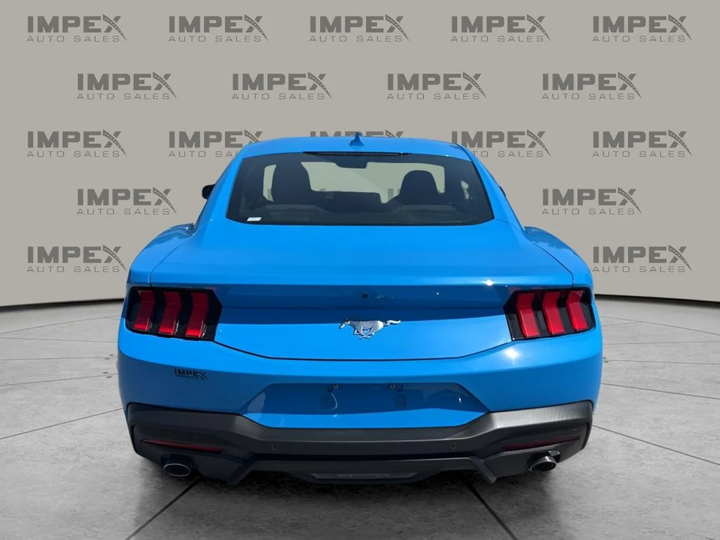 Used 2024 Blue Ford EcoBoost image 4
