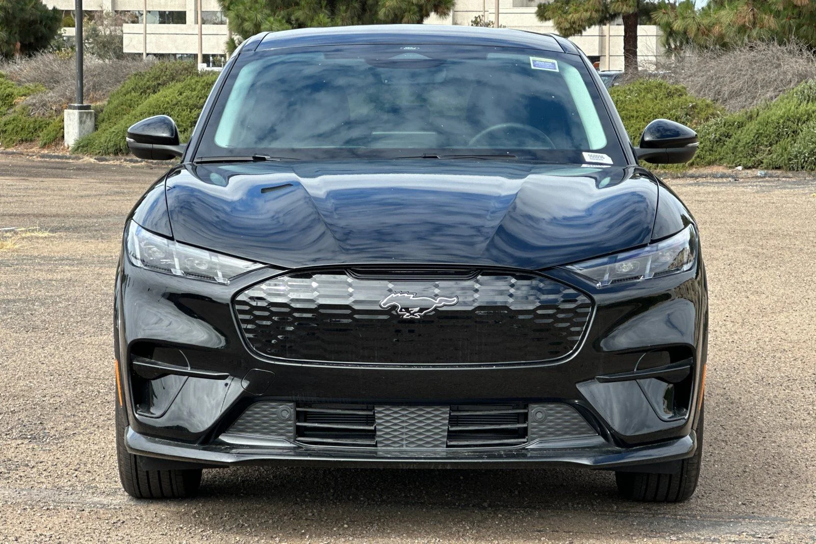 New 2026 Shadow Black Ford Premium image 5