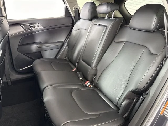 New 2026 Panthera Metal Kia EX image 21