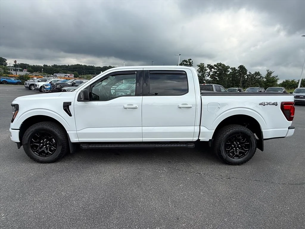 Used 2025 White Ford XLT image 1