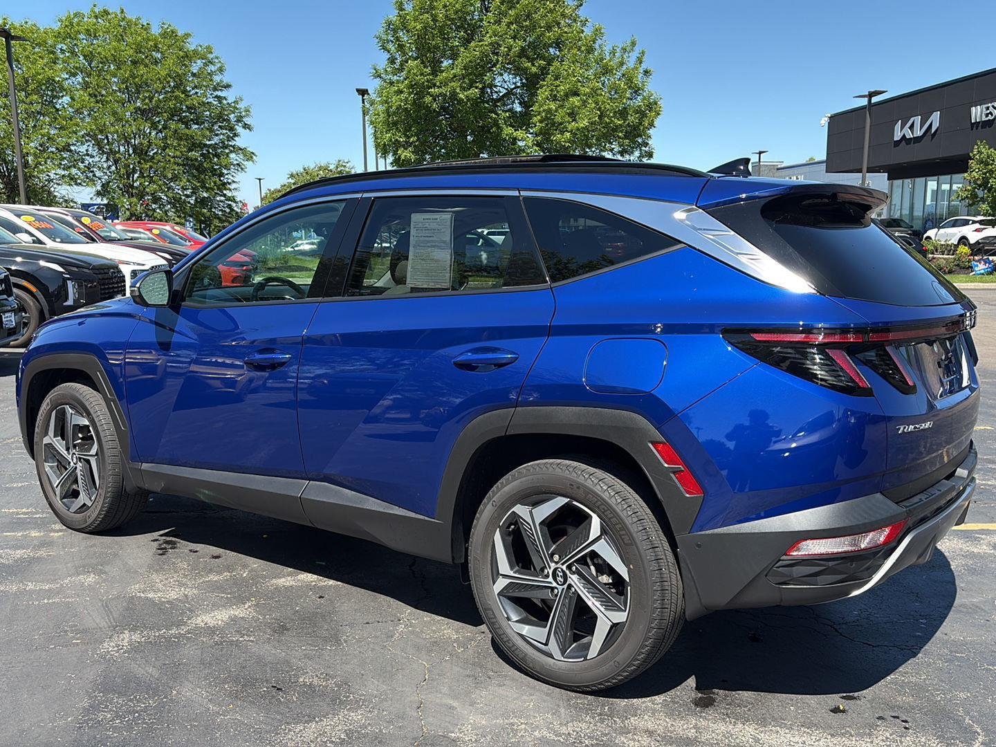 Used 2023 Intense Blue Hyundai Limited image 5