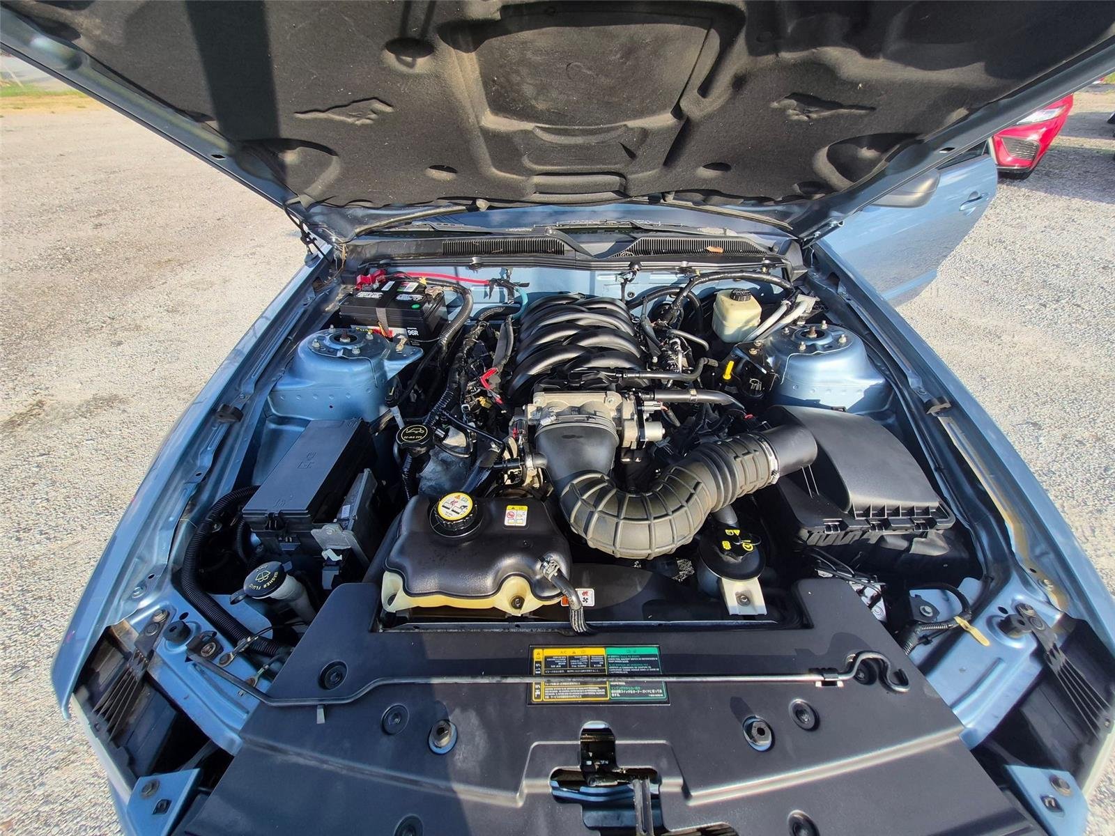 Used 2006  Ford GT Deluxe image 26