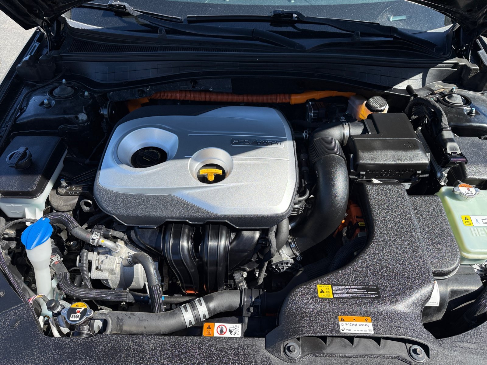 Used 2019 Aurora Black Kia EX image 20
