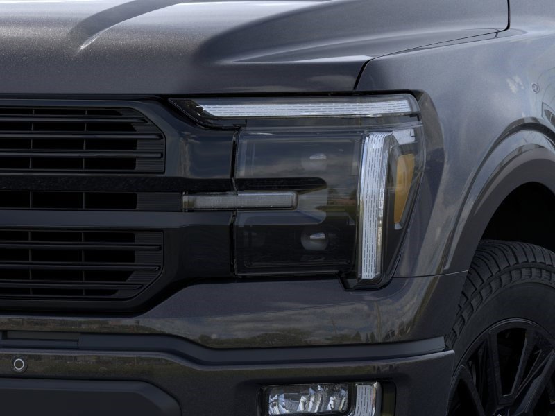 New 2026 Agate Black Metallic Ford Platinum image 19