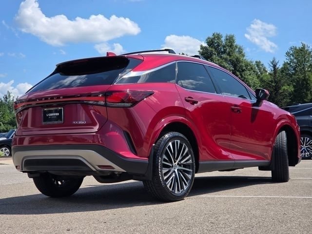 2024 Lexus RX 350 - Photo 28