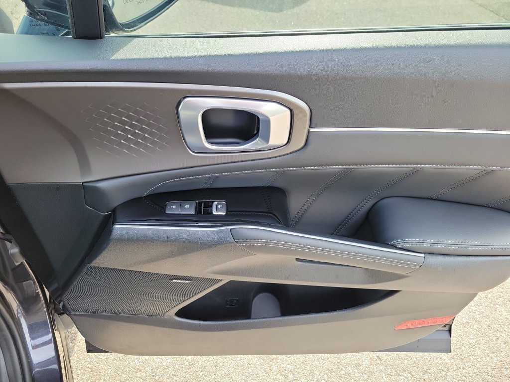 Certified Used 2026 Panthera Metal Kia SX image 9