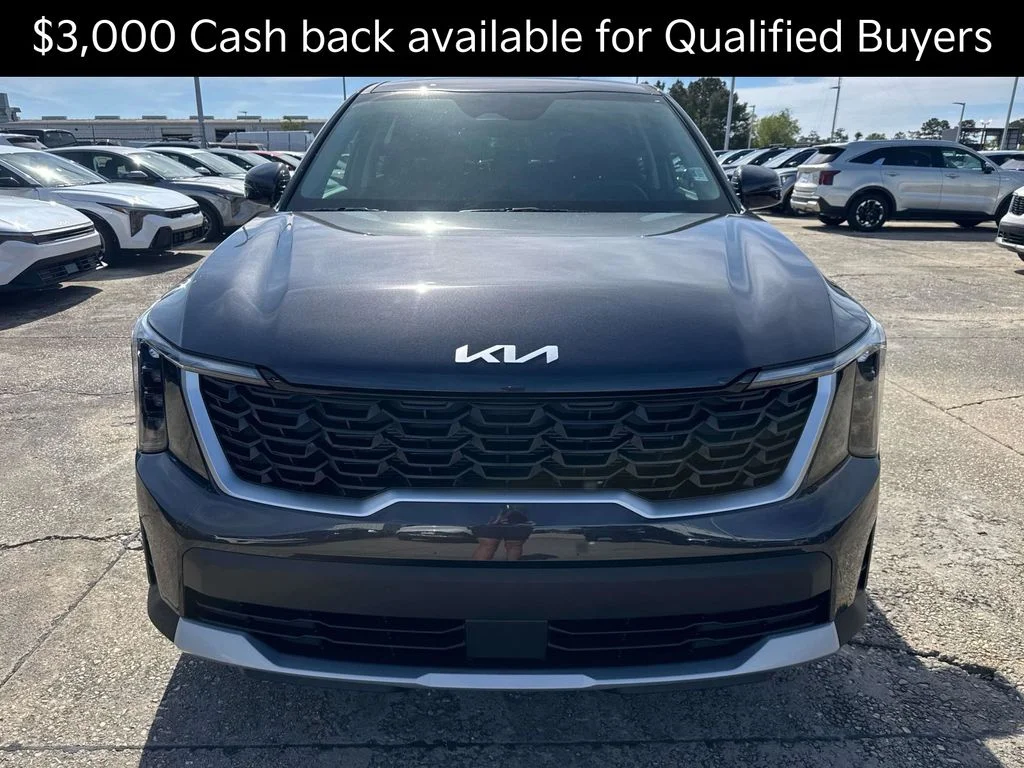 New 2026 Panthera Metal Kia LX image 2