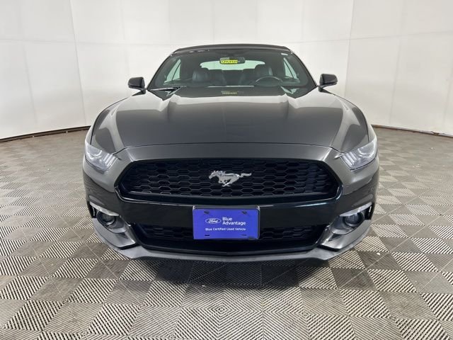 Certified 2017 Ford Mustang EcoBoost Premium with VIN 1FATP8UH5H5293311 for sale in Shakopee, Minnesota