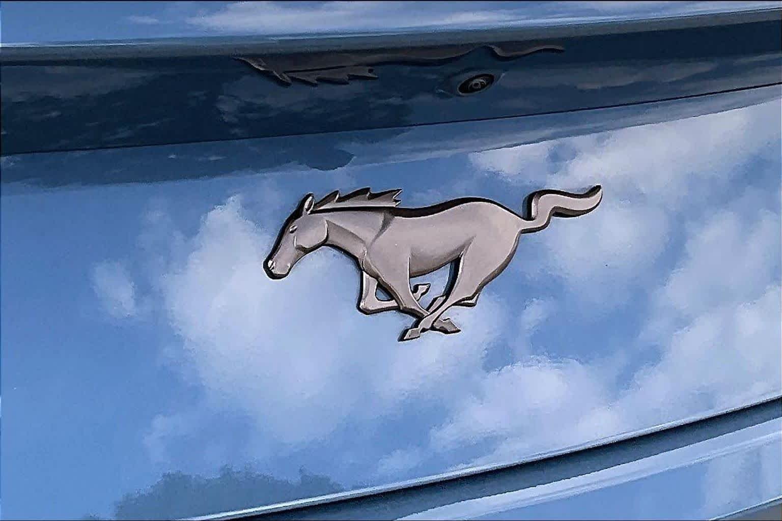 Used 2025 Vapor Blue Metallic Ford EcoBoost Premium image 29