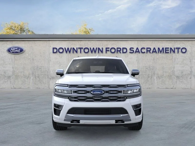 New 2024 White Ford Platinum image 7