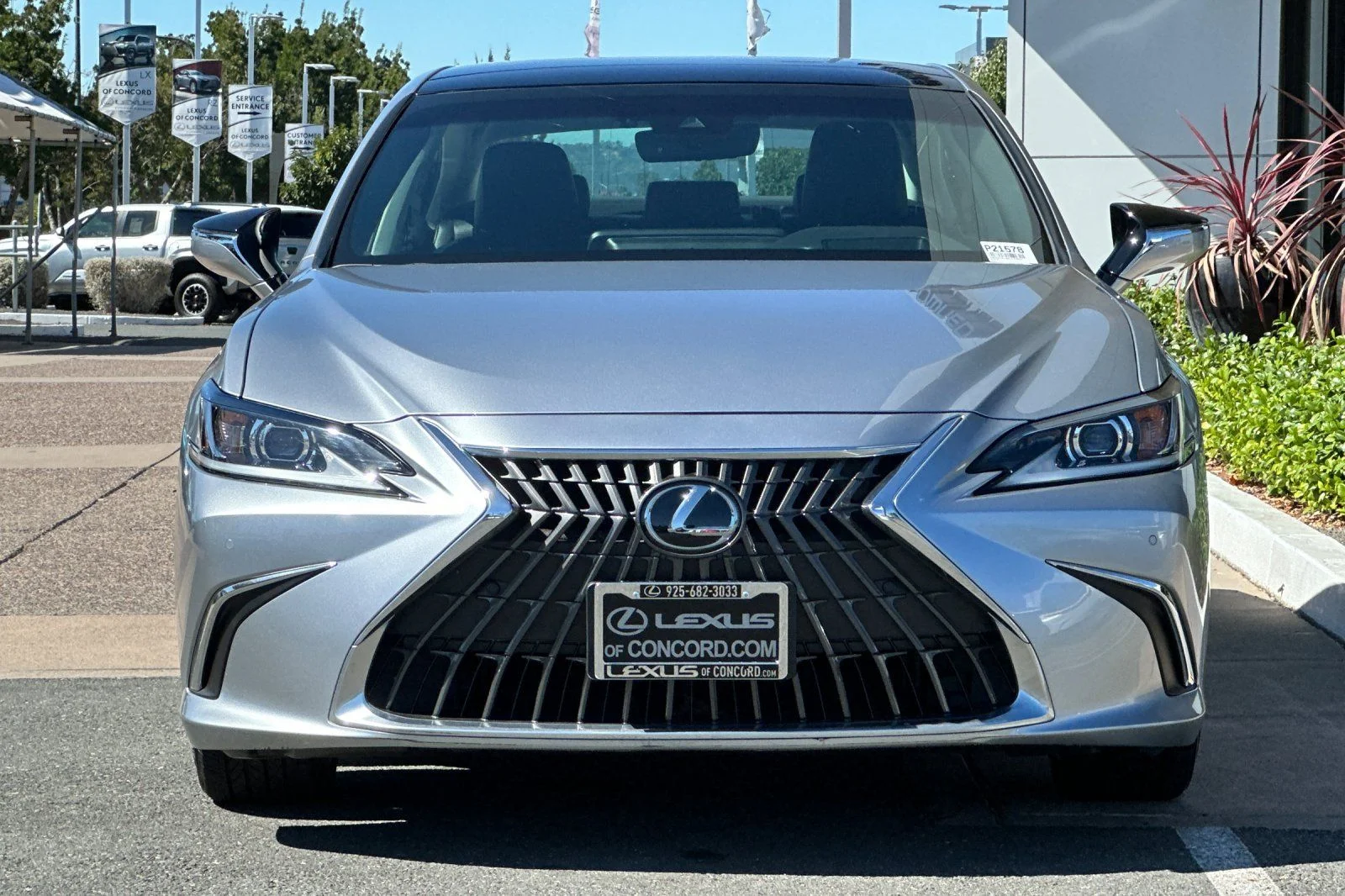 Certified Used 2024 IRIDIUM Lexus 350 image 6