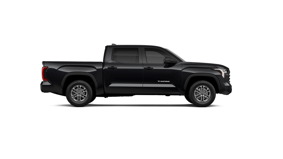 2025 Toyota Tundra SR5 - Photo 44