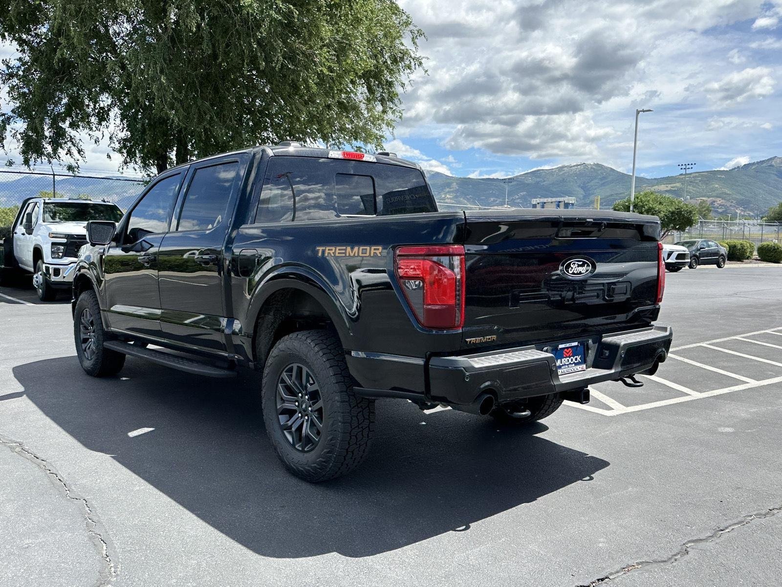 2025 Ford F-150 Tremor - Photo 19