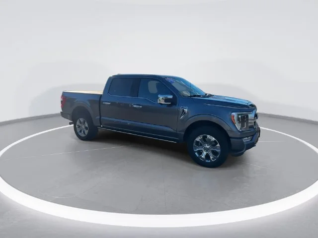 Used 2021 Gray Ford Platinum image 8