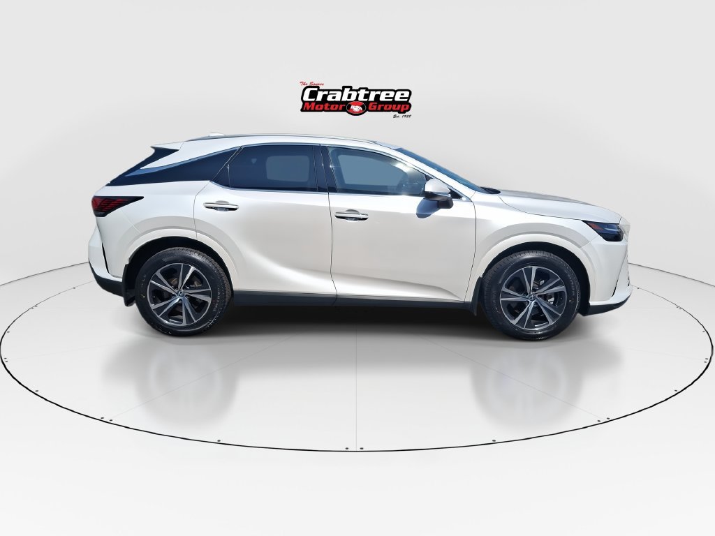 2024 Lexus RX 350 - Photo 9