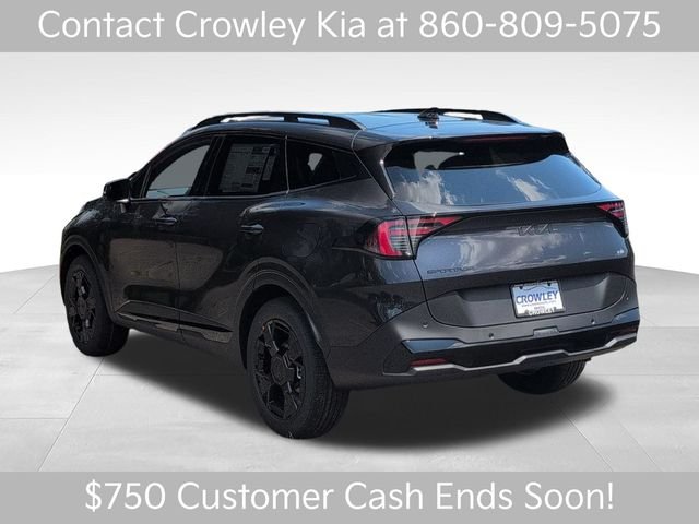 New 2026 Panthera Metal Kia X-Line image 6