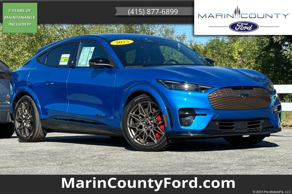 2025 Ford Mustang-Mach-e GT's photo