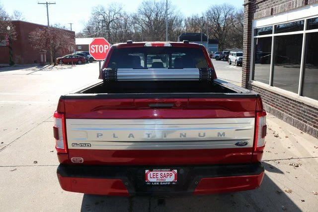 2023 Ford F-150 Platinum - Photo 6