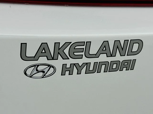 New 2027 White Hyundai Calligraphy image 25