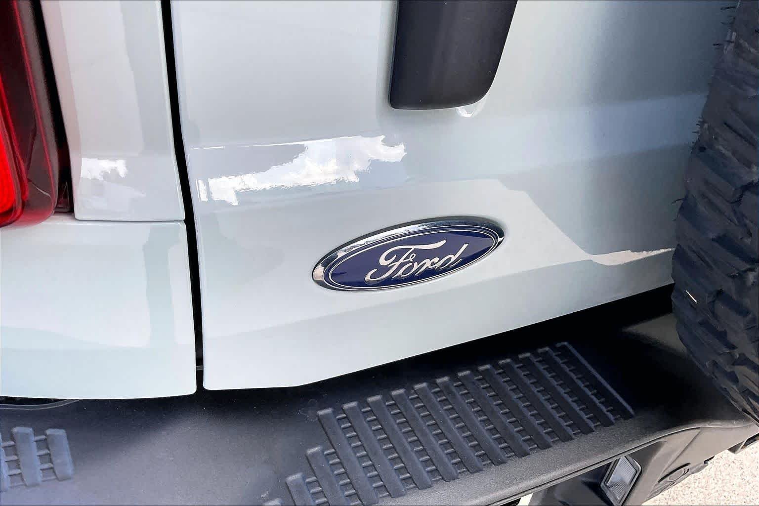 Used 2023 Cactus Gray Ford Black Diamond image 28