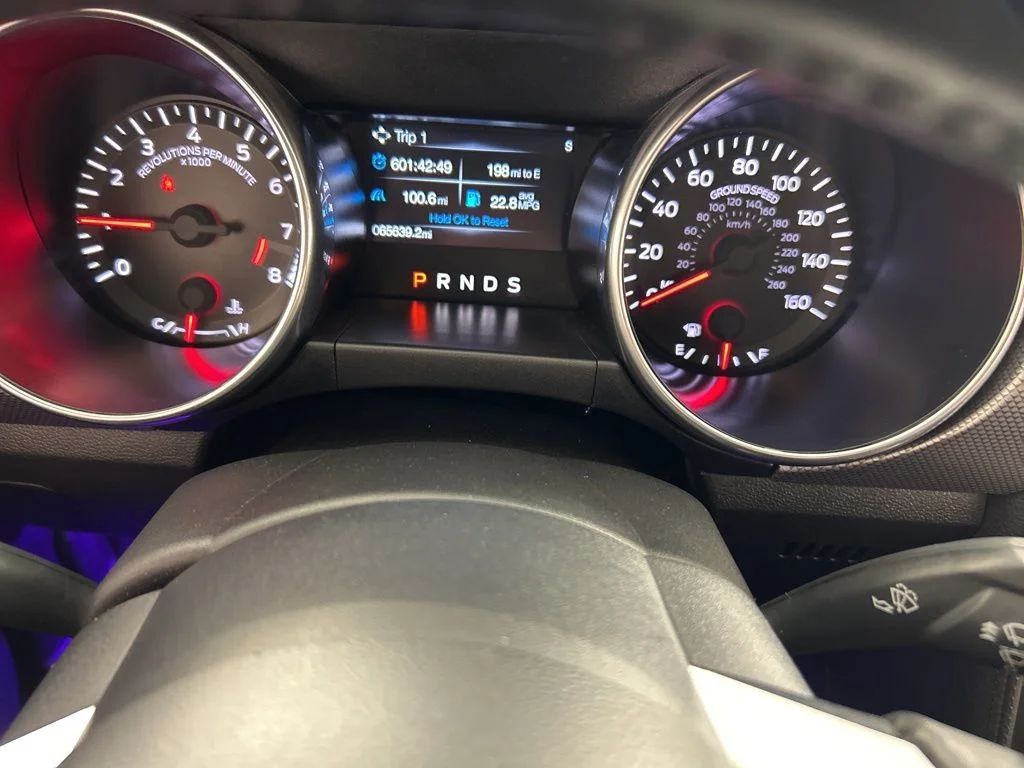 2019 Ford Mustang GT - Photo 48