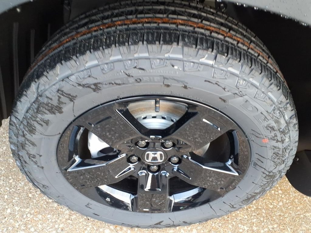 New 2026 Crystal Black Pearl Honda Black Edition image 16