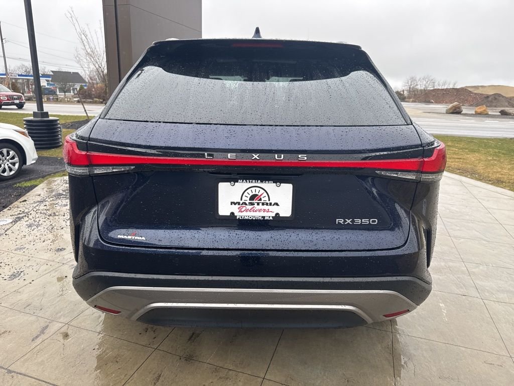 2023 Lexus RX 350 - Photo 6