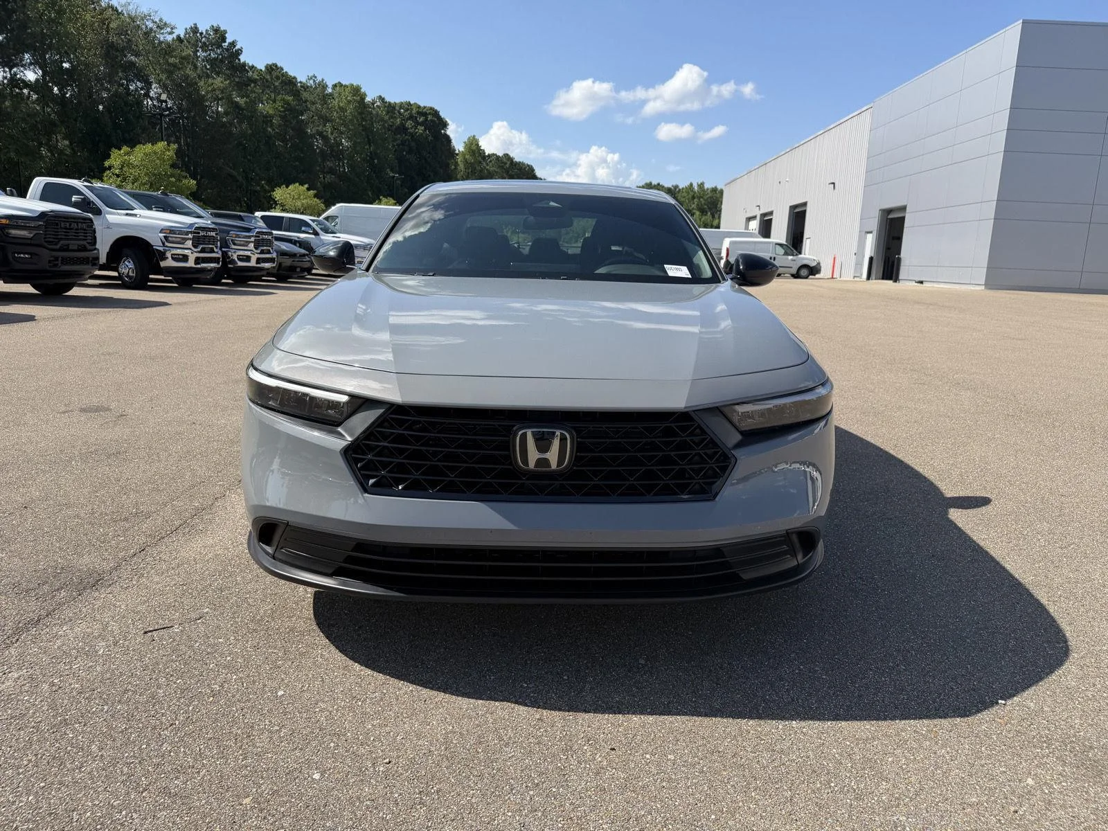 Used 2024 Urban Gray Pearl Honda Sport image 2