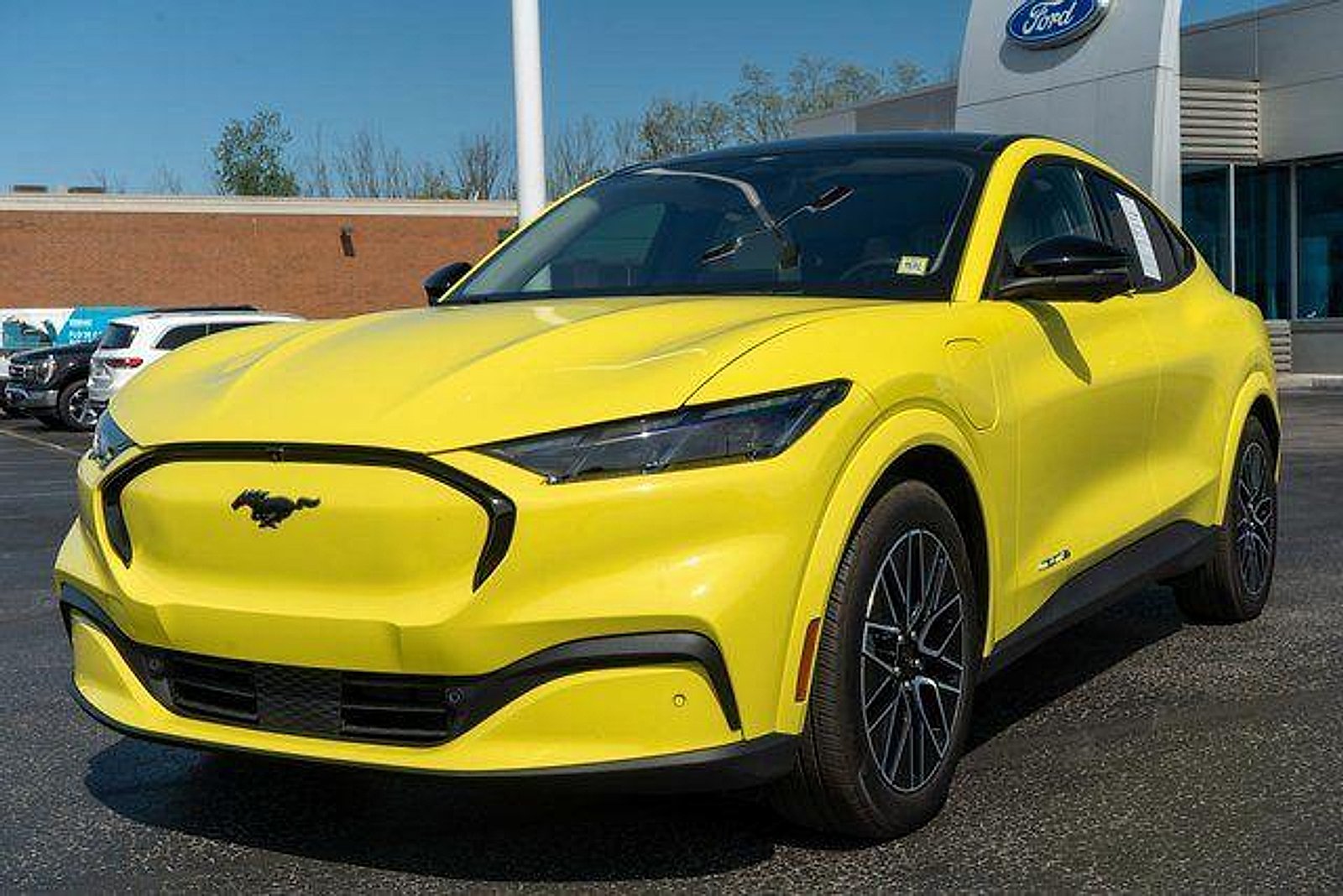 Used 2025 Grabber Yellow Ford Premium image 2