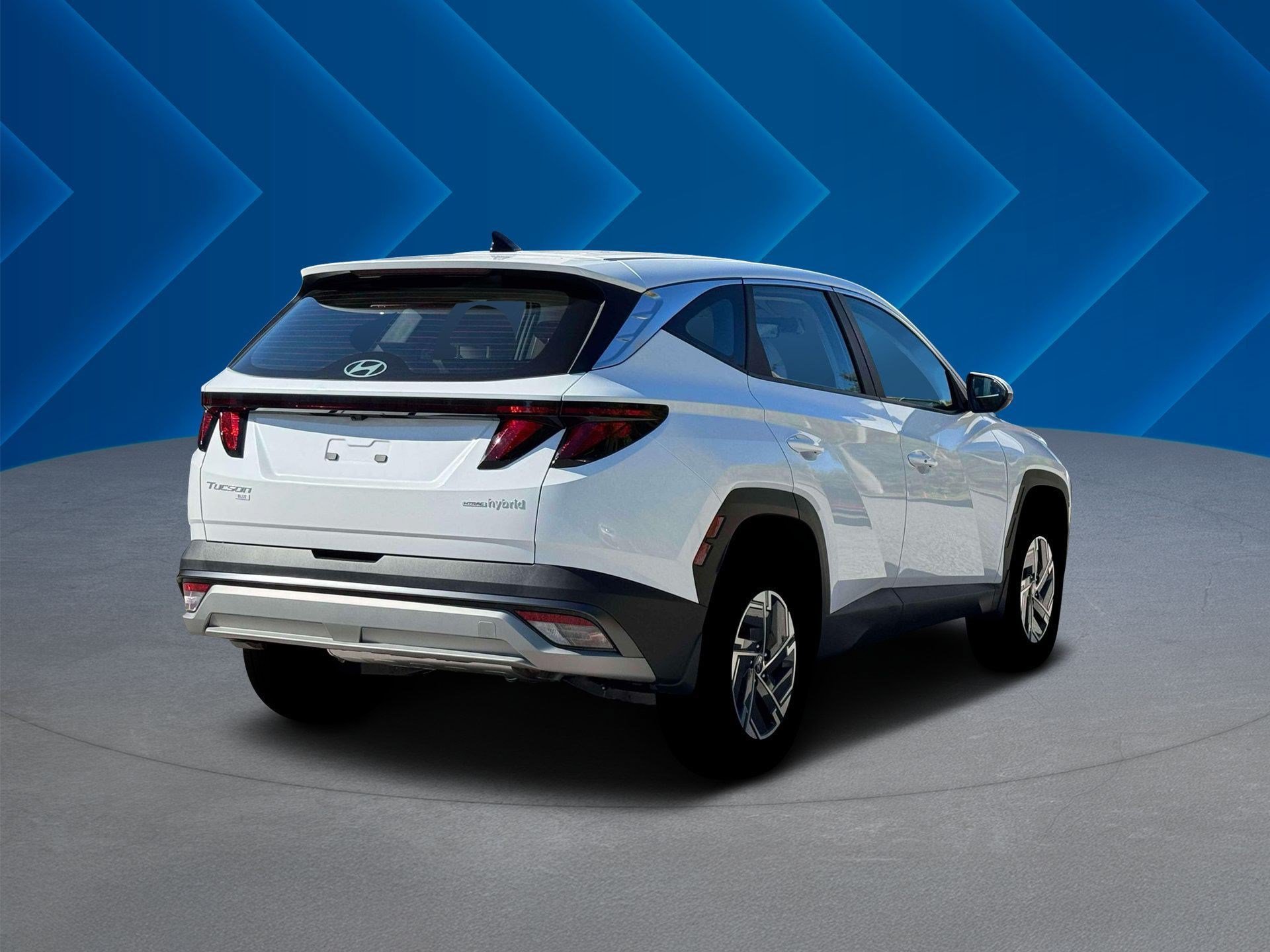 New 2026 Creamy White Pearl Hyundai Blue image 8