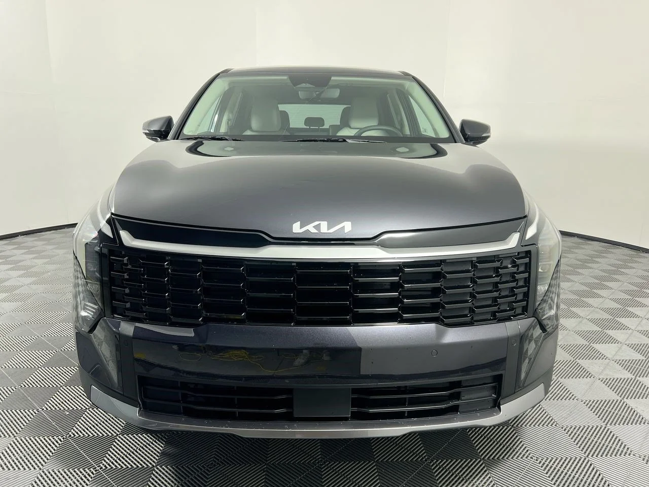 New 2026 Panthera Metal Kia EX image 7