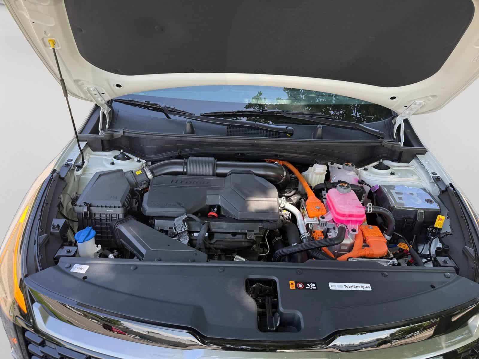 New 2026 Snow White Pearl Kia EX image 24