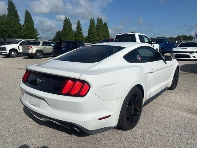 Used 2017 White Ford EcoBoost Premium image 5