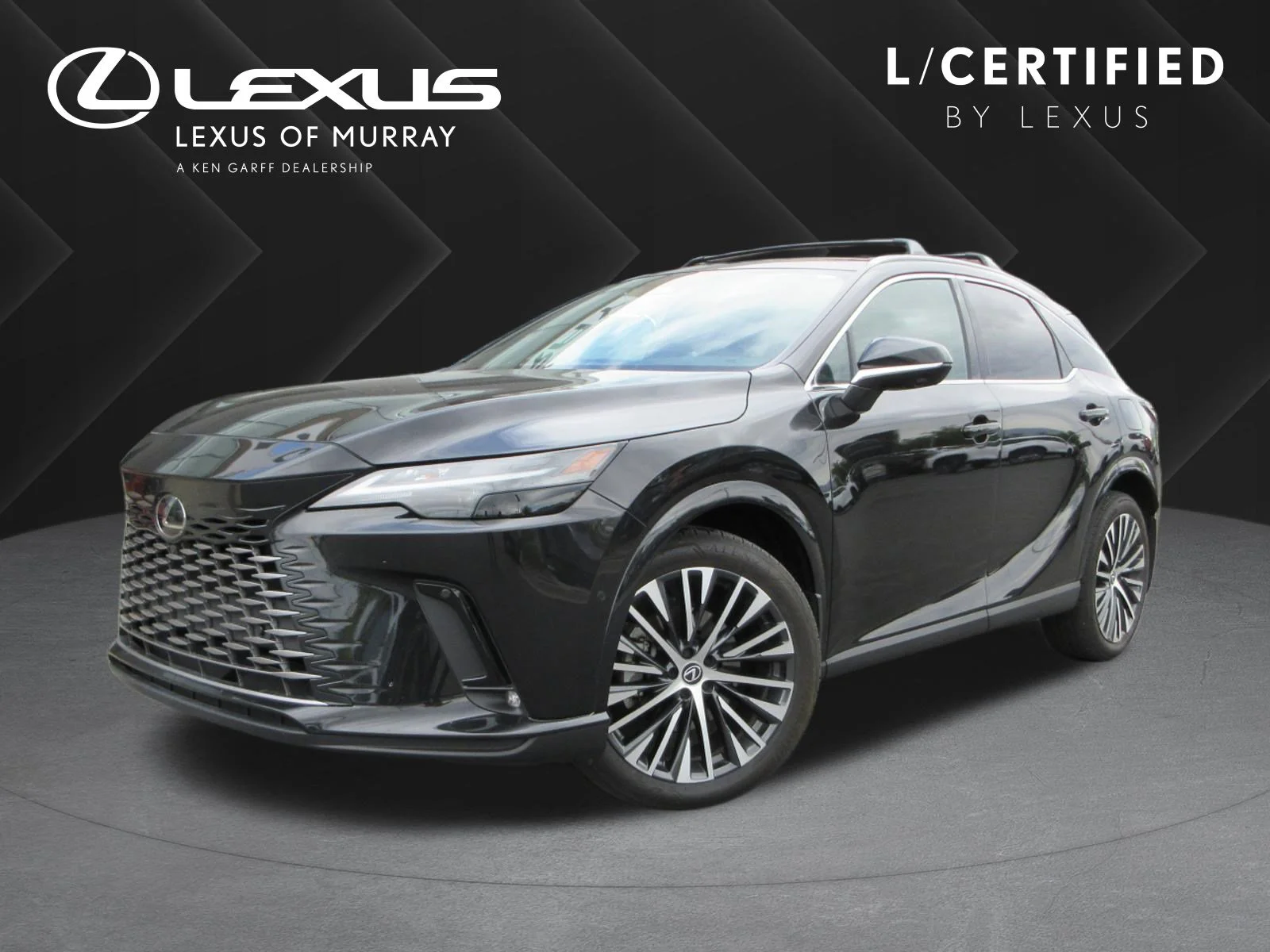 2025 Lexus RX 350h 350h Premium Plus AWD's photo