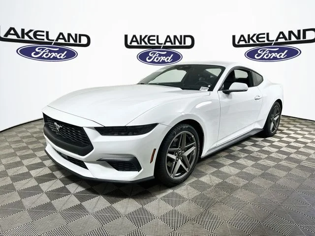 New 2026 White Ford EcoBoost image 7