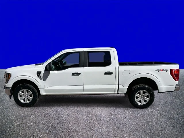 Used 2023 White Ford XLT image 6