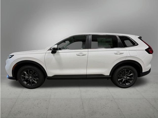 New 2026 Platinum White Pearl Honda EX-L image 2