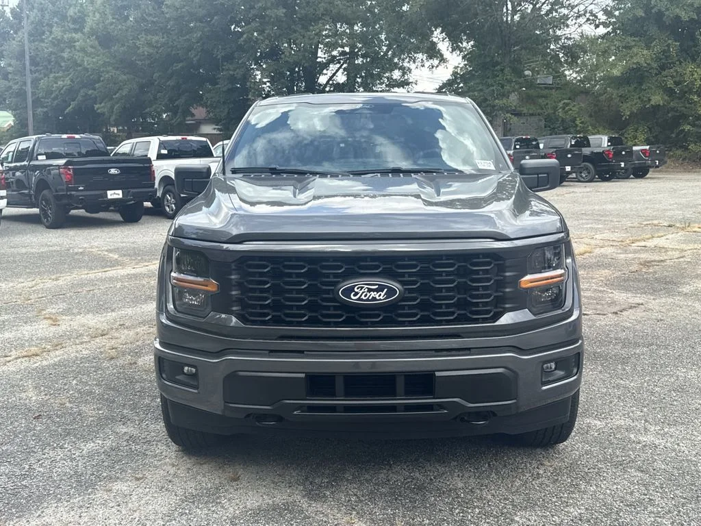 New 2026 Gray Ford STX image 2