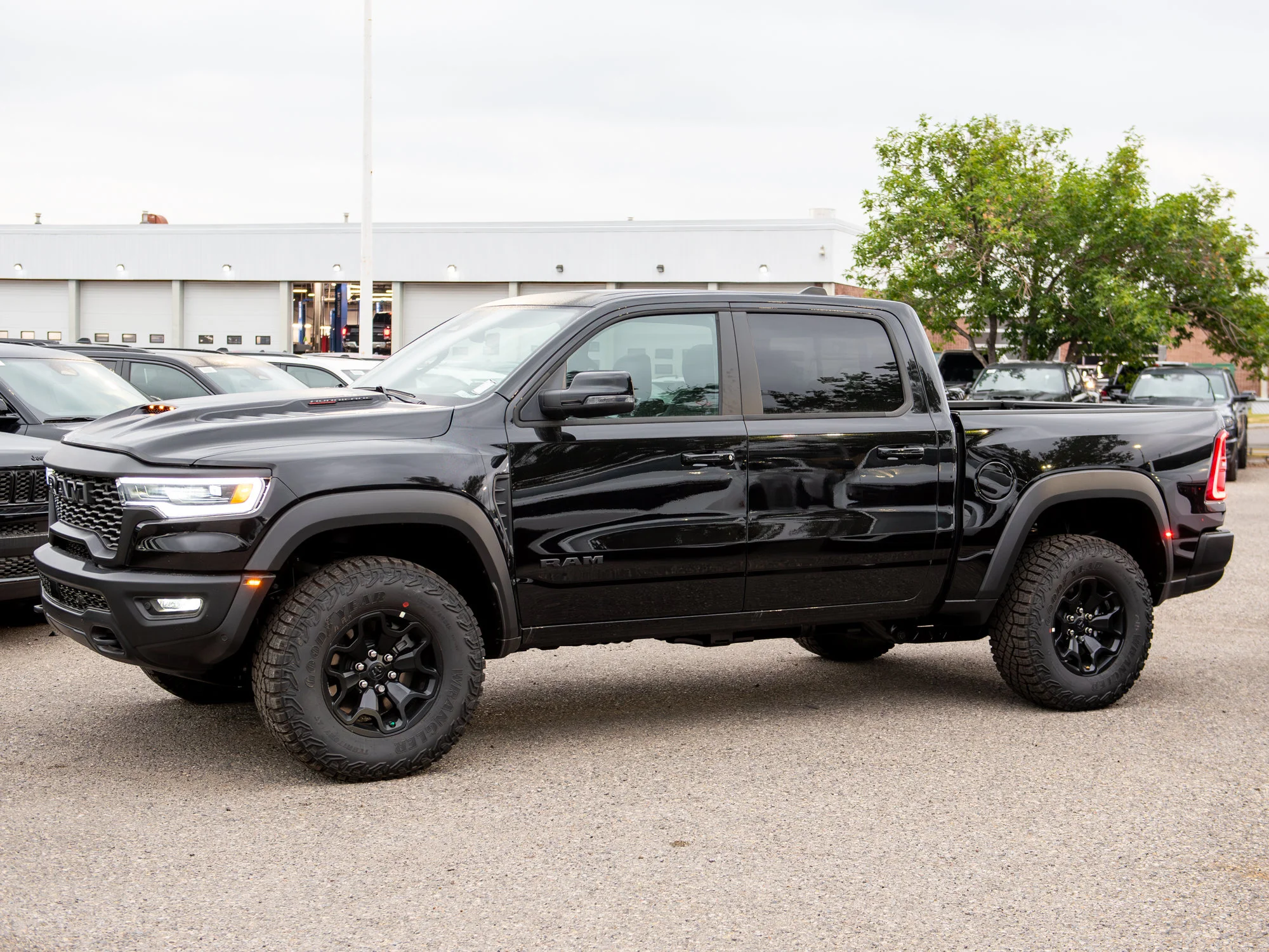 New 2026 Black RAM RHO* image 5