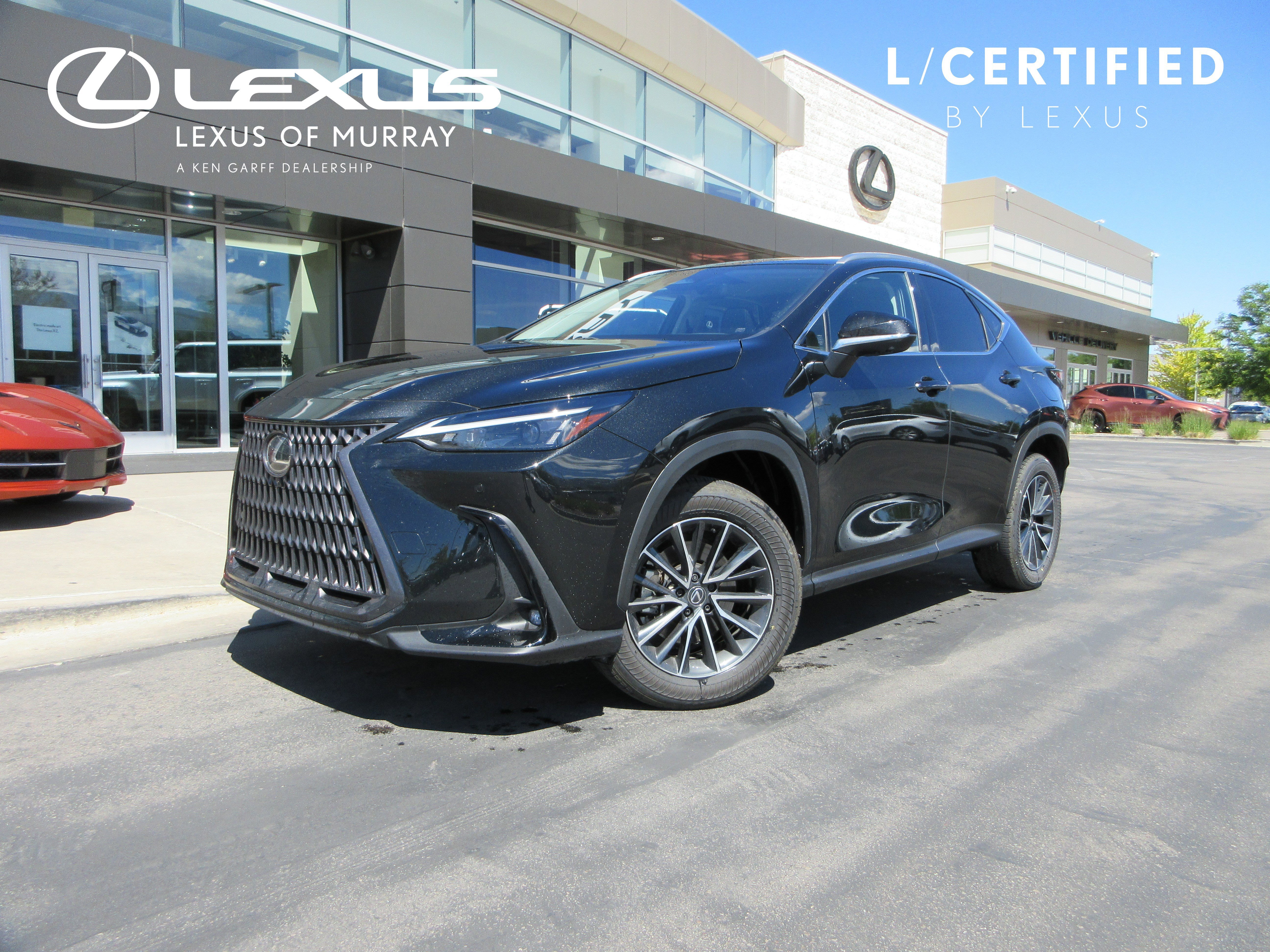 2025 Lexus NX 350h 350h Premium AWD's photo