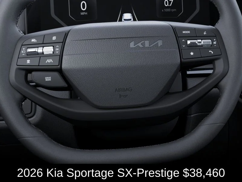 New 2026 Panthera Metal Matte Kia SX Prestige image 23