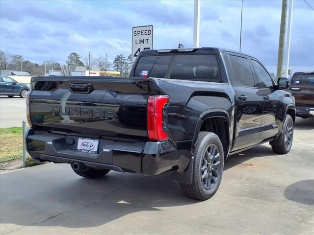 New 2025 Black Toyota Platinum image 11