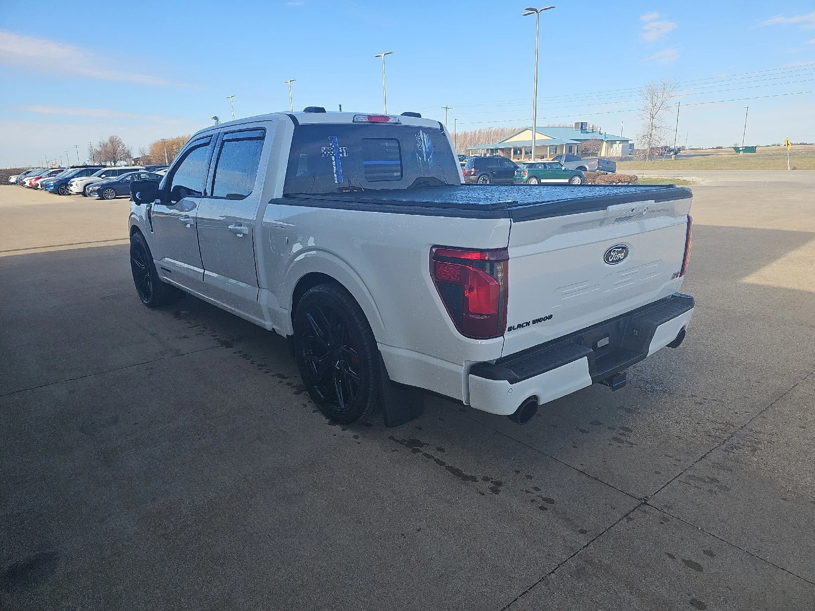 Used 2025 White Ford Black Widow Supercharged image 17